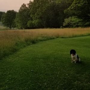 Meet your Posher, Susan